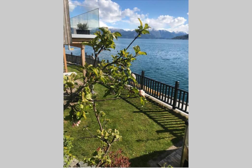 Panoramaresort In Hardangerfjorden Leilighet I Sjokanten Ved Hardangerfjorden For 7 Personer Boat , Sauna,Kajak, Sup For Rent Øystese Zewnętrze zdjęcie